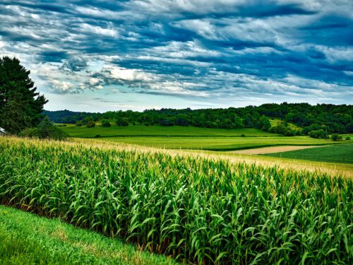 You Have Inherited Farmland. Now What?